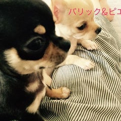 yuriのプロフィール