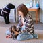 画像 東京から訪問！愛犬ケア。飼い主さんができる優しいタッチで問題解決、健康維持！　のユーザープロフィール画像