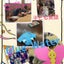 画像 宮崎市　こども英語 ＆　わらべうたベビーマッサージの教室　「Blue Water」のユーザープロフィール画像