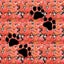 四十郎のサムネイル