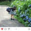 おさのサムネイル