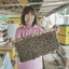 画像 ハッピーハニー　ヨンジュちゃん養蜂園のまゆみさんのブログのユーザープロフィール画像