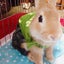 画像 そいやっ！シェリーくんのユーザープロフィール画像