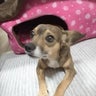 maiのプロフィール