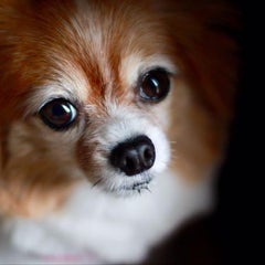 のりのプロフィール