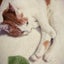 画像 majyaの家づくり ～県民共済住宅で猫と暮らすのユーザープロフィール画像