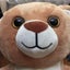 クークルのサムネイル