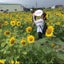POKOのサムネイル