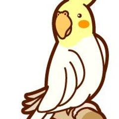 天体運行一覧表(目次) | 葉月綾乃の西洋占星術と東洋占術ブログ