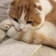 Yukiのプロフィール