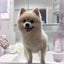 Ｐ子(35)のサムネイル