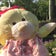 とらくまじのぬい旅アルバム