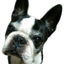 れいんのサムネイル