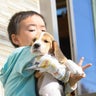 ハッピービーグル犬舎のブログのプロフィール