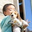 ハッピービーグル犬舎のブログのサムネイル