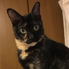 Hikaru Okunoのプロフィール