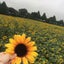 yunaのブログ のサムネイル