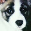 よこたんのサムネイル