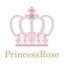 画像 西富士宮駅から徒歩５分のまつげエクステ専門サロン　　プリンセスローズPrincess Roseのユーザープロフィール画像