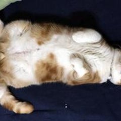 sugiのプロフィール