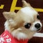 まんまるのサムネイル