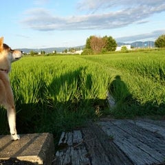 ハーポのプロフィール