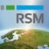 RSM清和監査法人のブログ