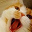 Oscarのサムネイル