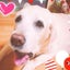ラブりりのサムネイル