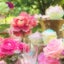 Maa*☆のサムネイル