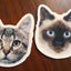 画像 2匹の猫と小さい風呂に癒されて。のユーザープロフィール画像