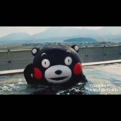マカオでビスケットのプロフィール