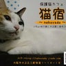 nekoyado-222のプロフィール