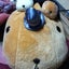 えみみのサムネイル