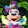 はんなり民のディズニー記