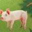 yosshiiのサムネイル