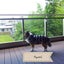 Ayumiのサムネイル
