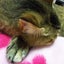 ぴよきちのサムネイル