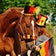 競馬で学ぶ、価値を見抜く力