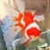 金魚と錦鯉達のぶろぐ