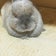 平々凡々がんも＆楽太郎日記