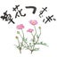 画像 草花つむぎ　  ～野の花くらし～のユーザープロフィール画像