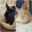 画像 クロきなのわちゃわちゃ生活のユーザープロフィール画像