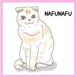 若猫腎臓病(腎不全) ニャン友リンク catnapping*