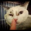 michi*のサムネイル