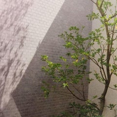 ぽろすけのプロフィール
