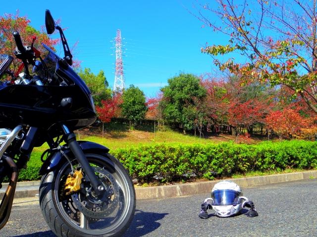 卍さｧちｬﾝ卍