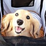 AYAch(文ｸﾝと玄ﾁｬﾝのお母ﾁｬﾝ)のプロフィール
