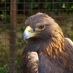 飛ぶ鳥ＯＴのプロフィール