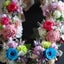 画像 大阪　高槻　お花大好き　dandelion　のブログのユーザープロフィール画像